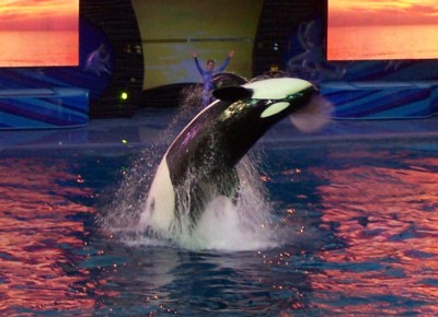 Sea World