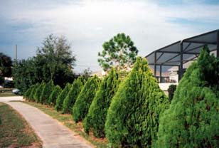 Pathways